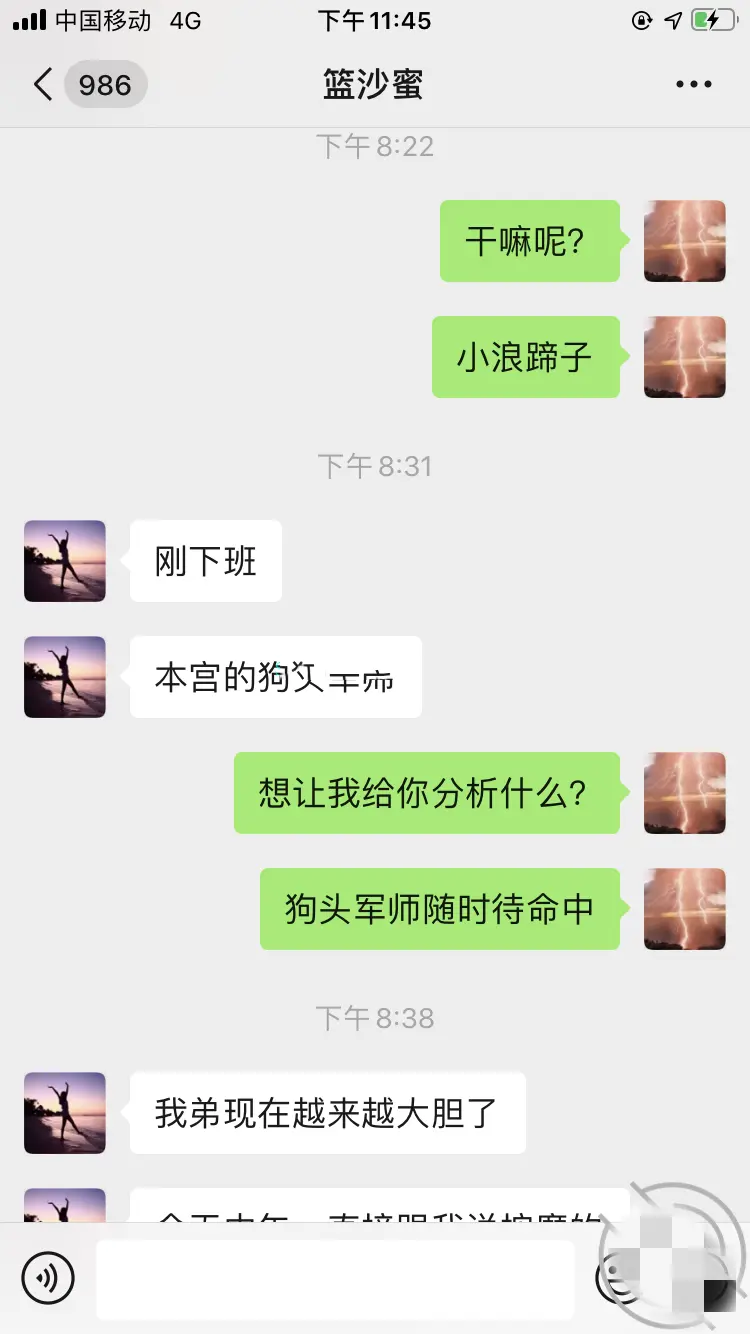 第291张