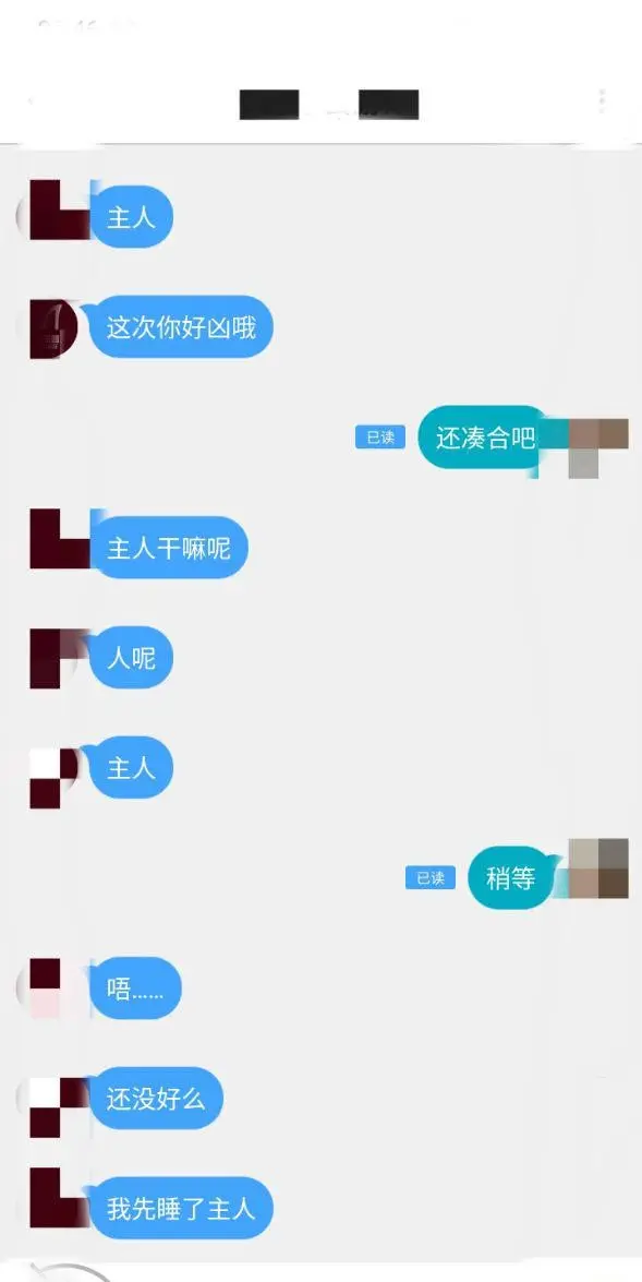 第17张