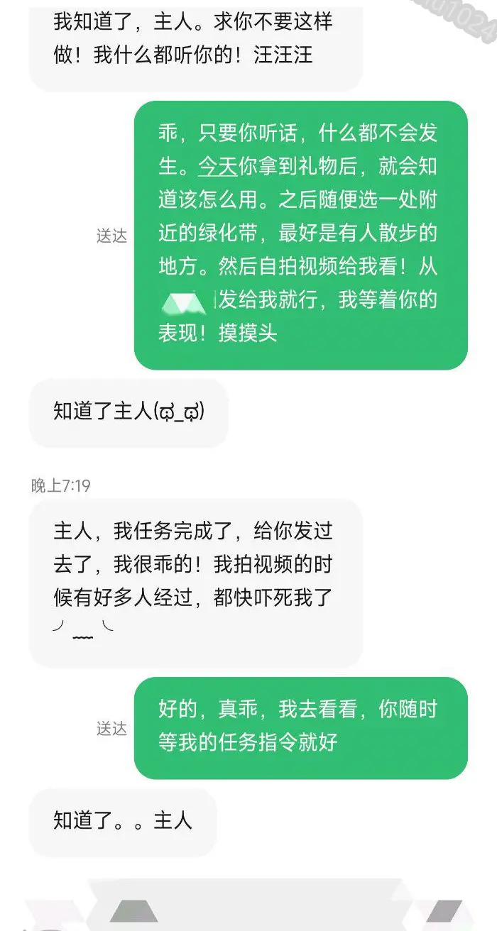 第43张