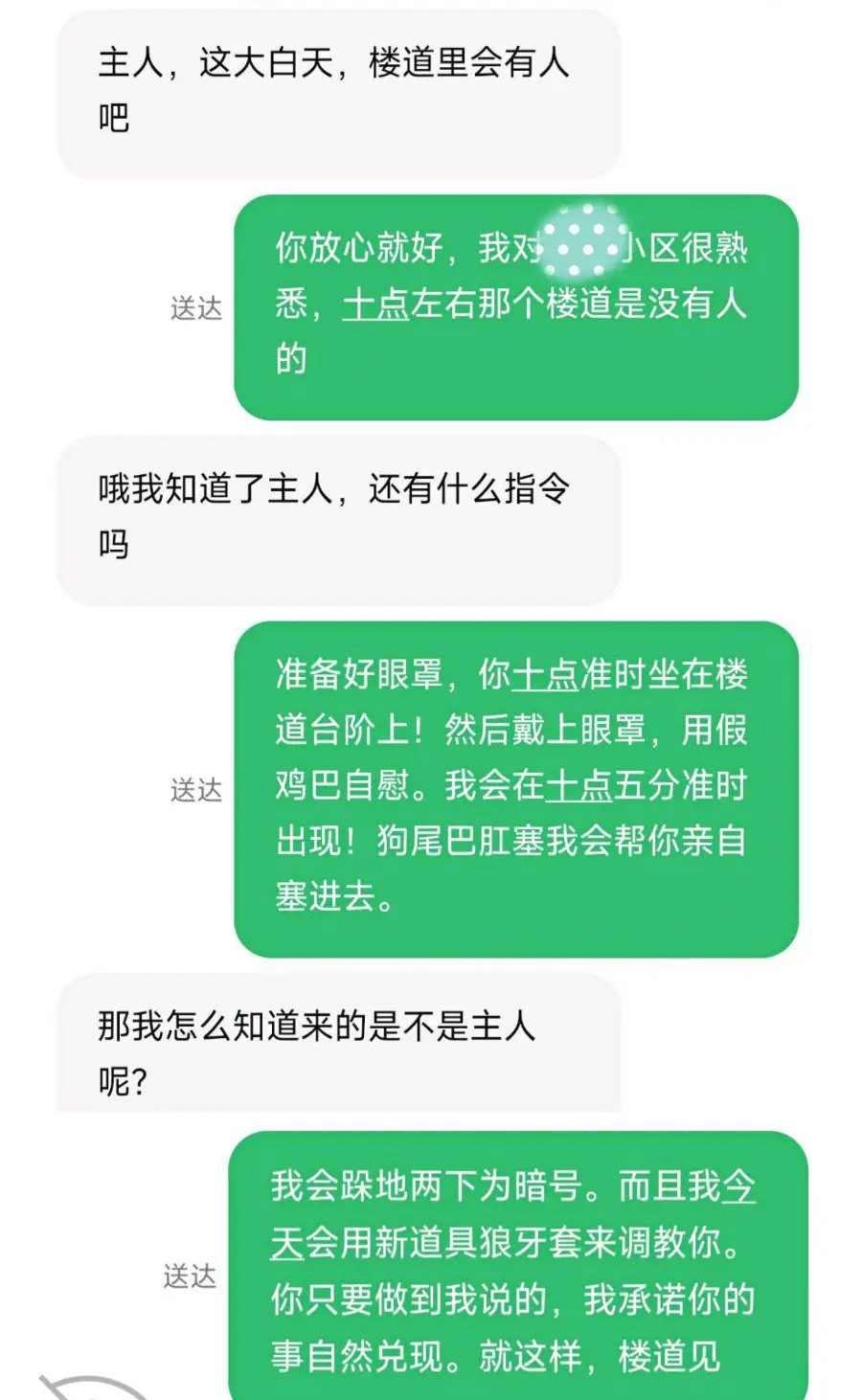 第49张