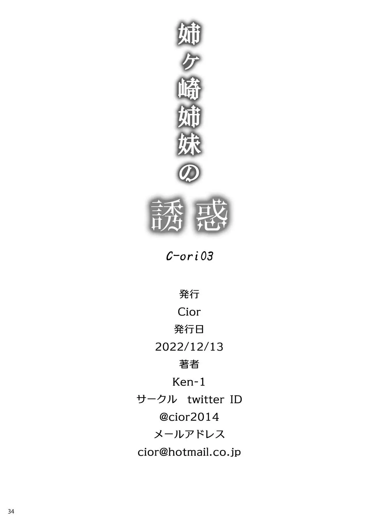 第33张