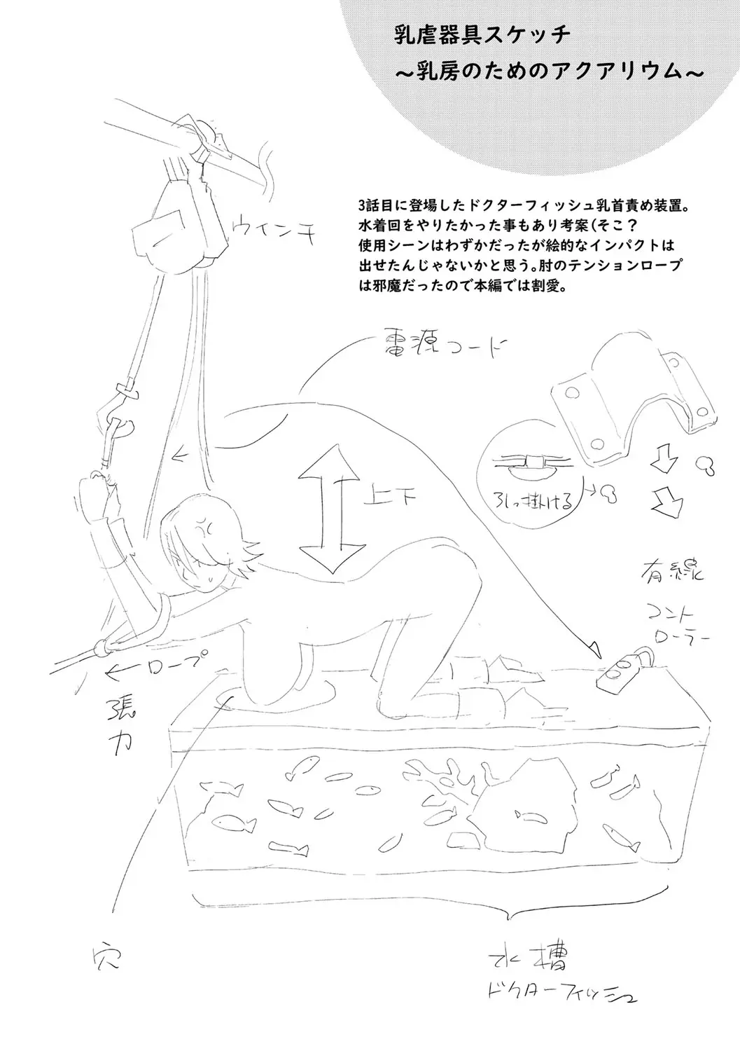 第216张