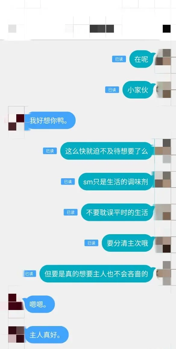 第11张