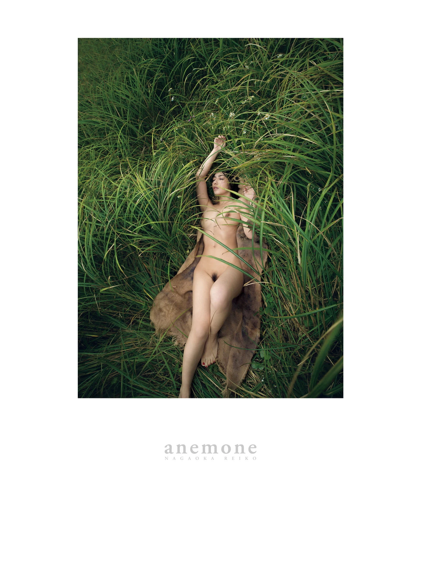 Reiko Nagaoka 永岡憐子 - anemone